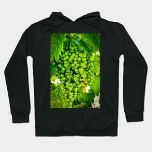 Grapes On Vines Hoodie